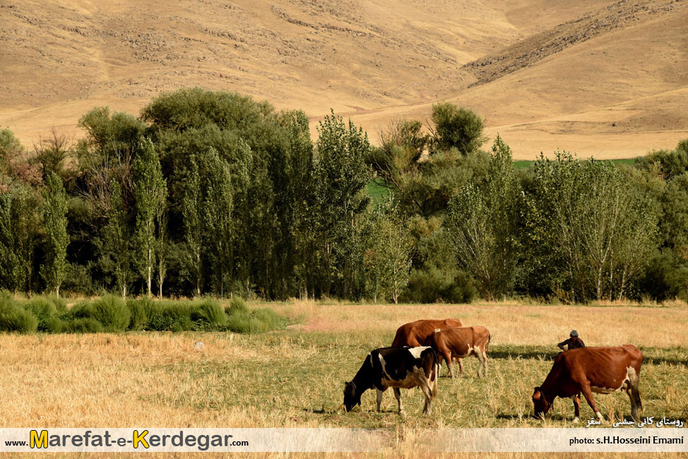 جاهای دیدنی استان کردستان